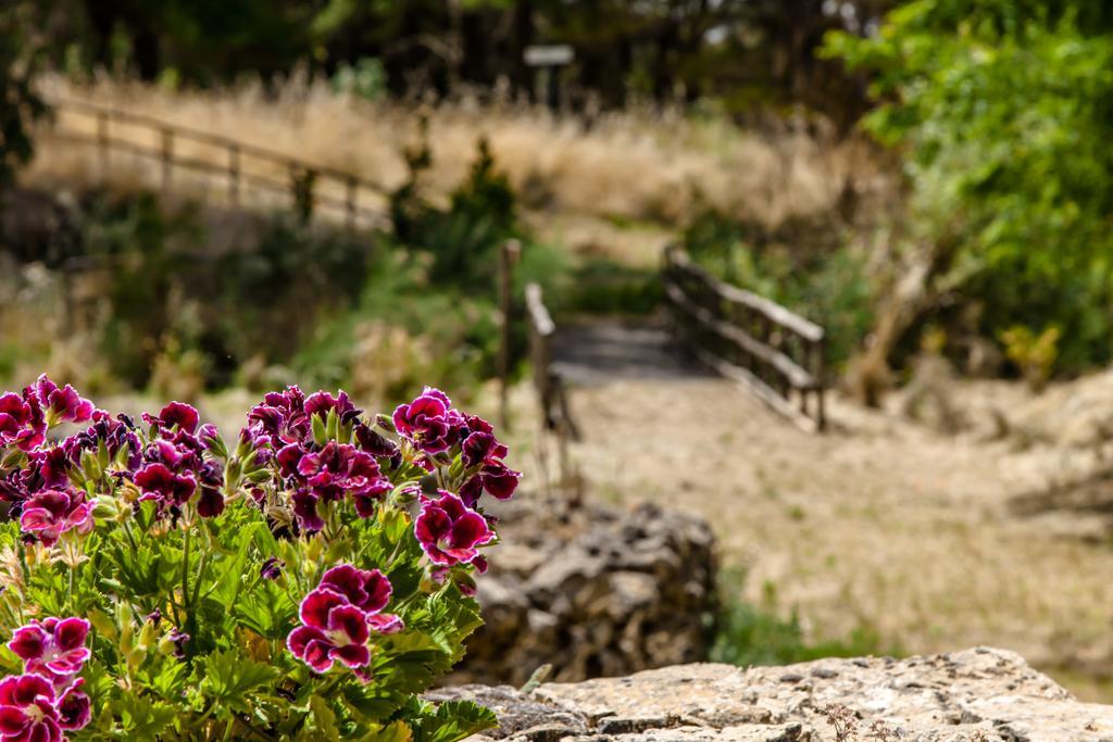 피아차암머리나 Agriturismo Bannata 빌라 외부 사진